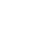 wordpress-1